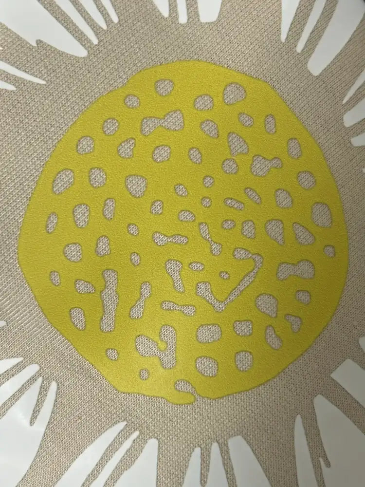 Daisy Short Sleeve Top and Shorts Two Piece Set