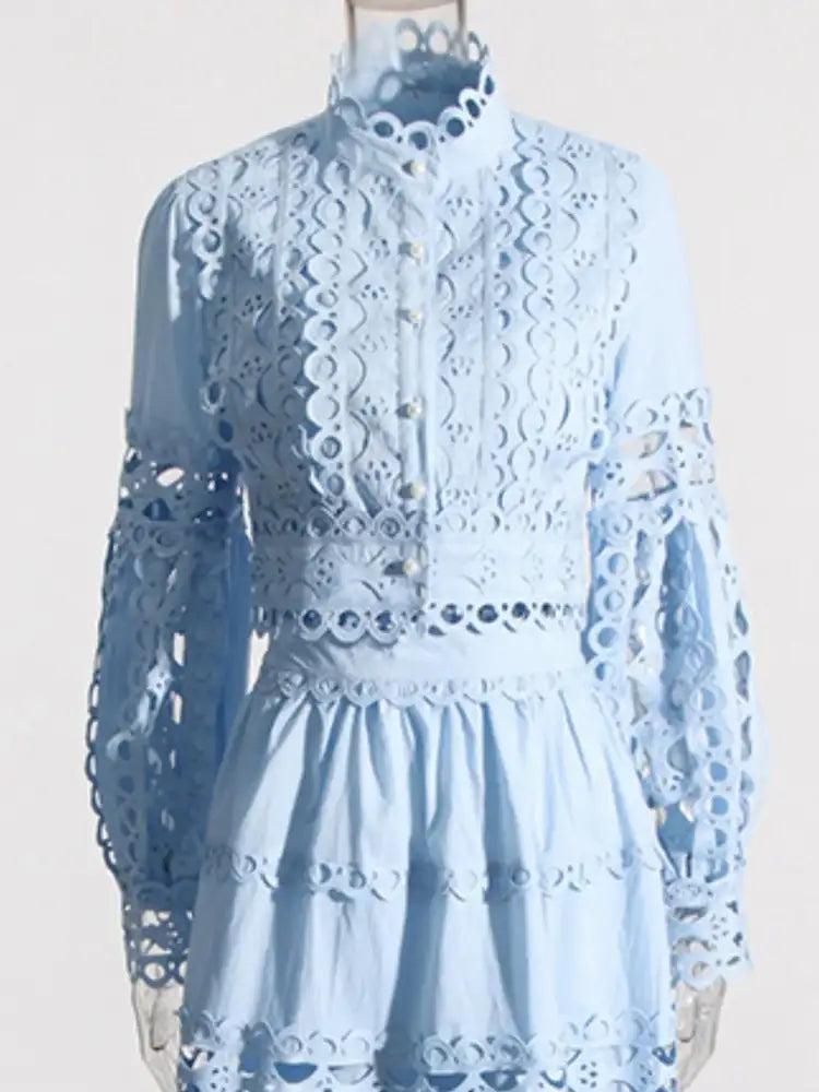 Lace Button Up Long Sleeve Top and Skirt Set