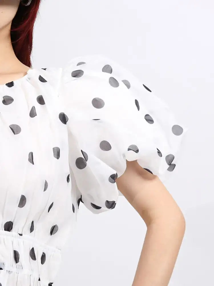 Polka Dot Puff Sleeve Top and Skirt Set