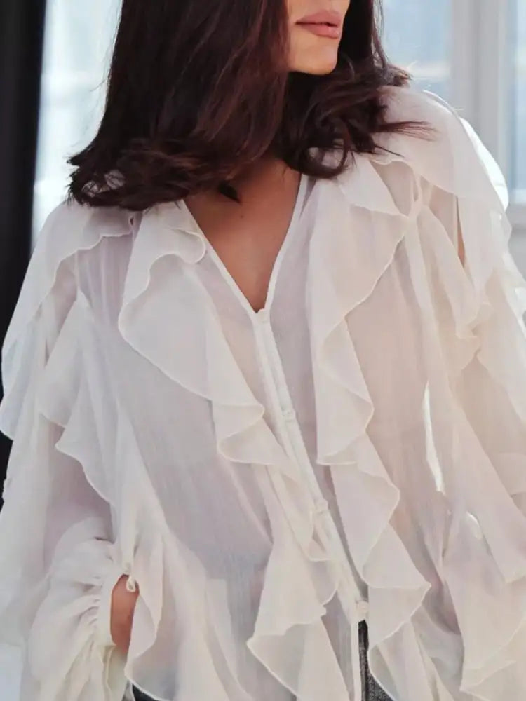 Ruffled Sheer Long Sleeve Blouse