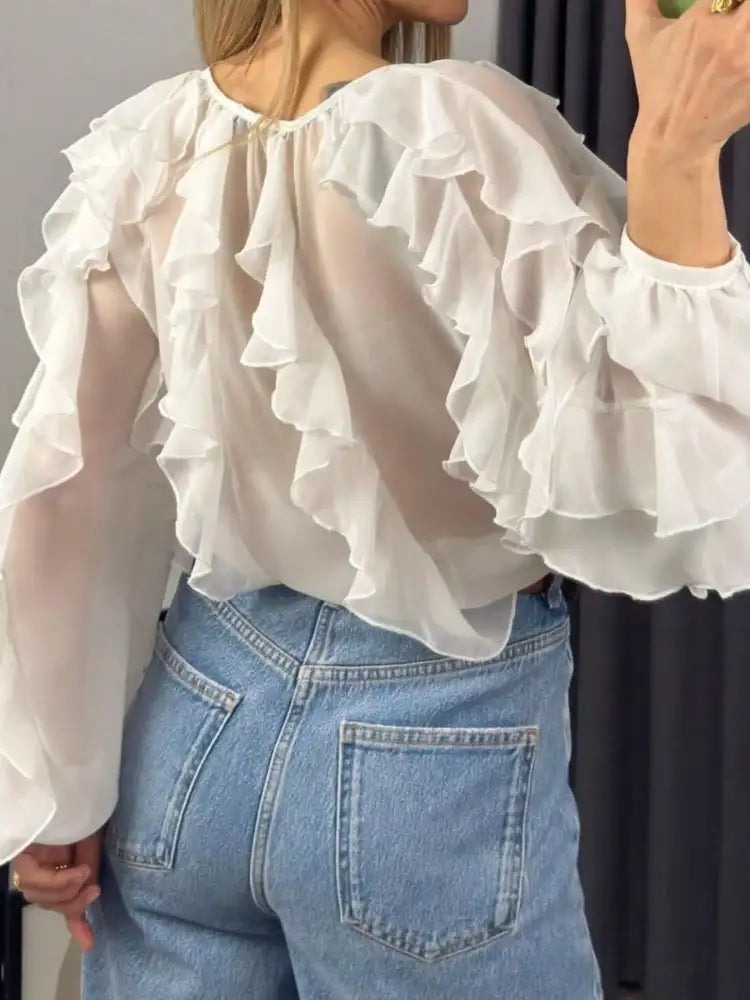 Ruffled Sheer Long Sleeve Blouse