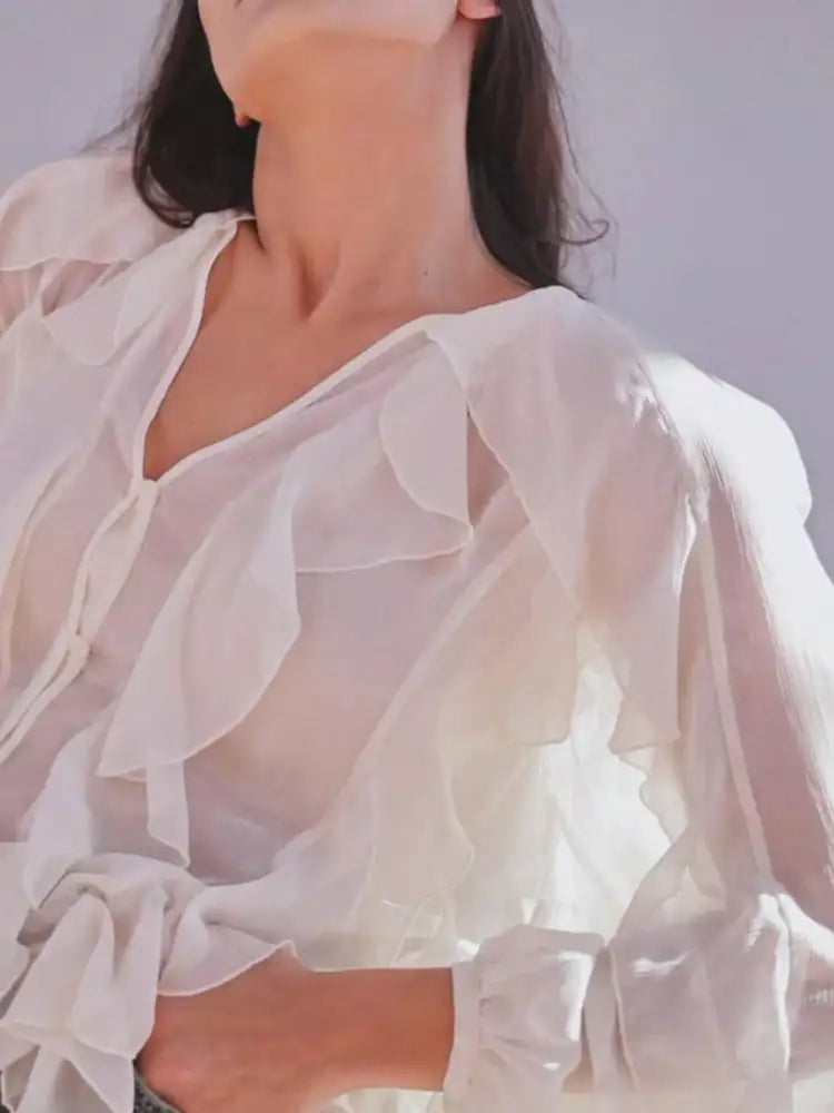 Ruffled Sheer Long Sleeve Blouse