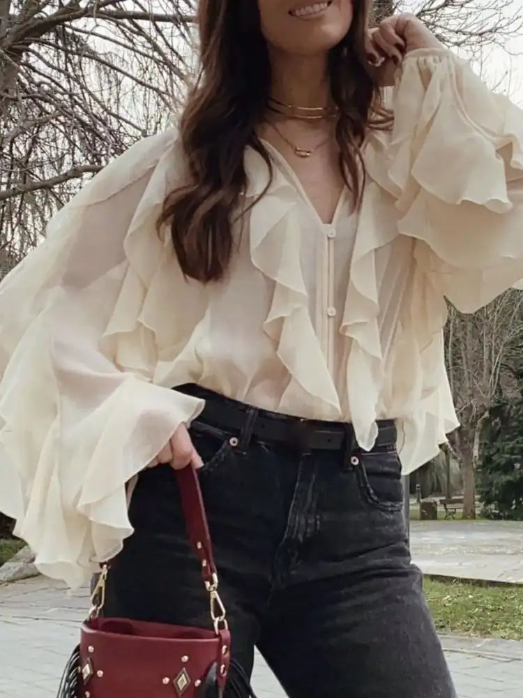 Ruffled Sheer Long Sleeve Blouse