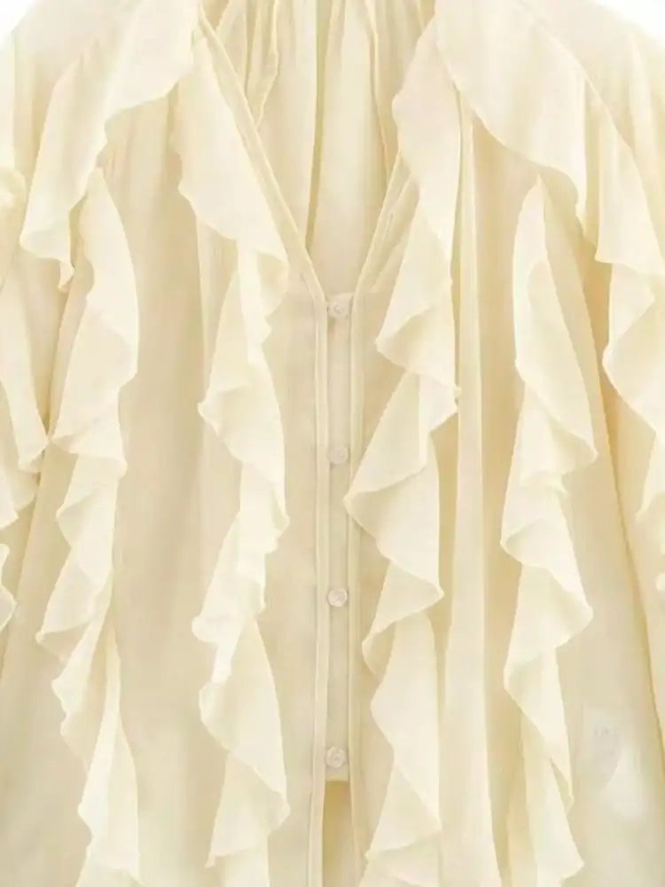 Ruffled Sheer Long Sleeve Blouse