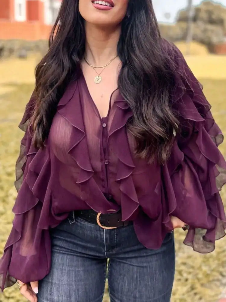 Ruffled Sheer Long Sleeve Blouse