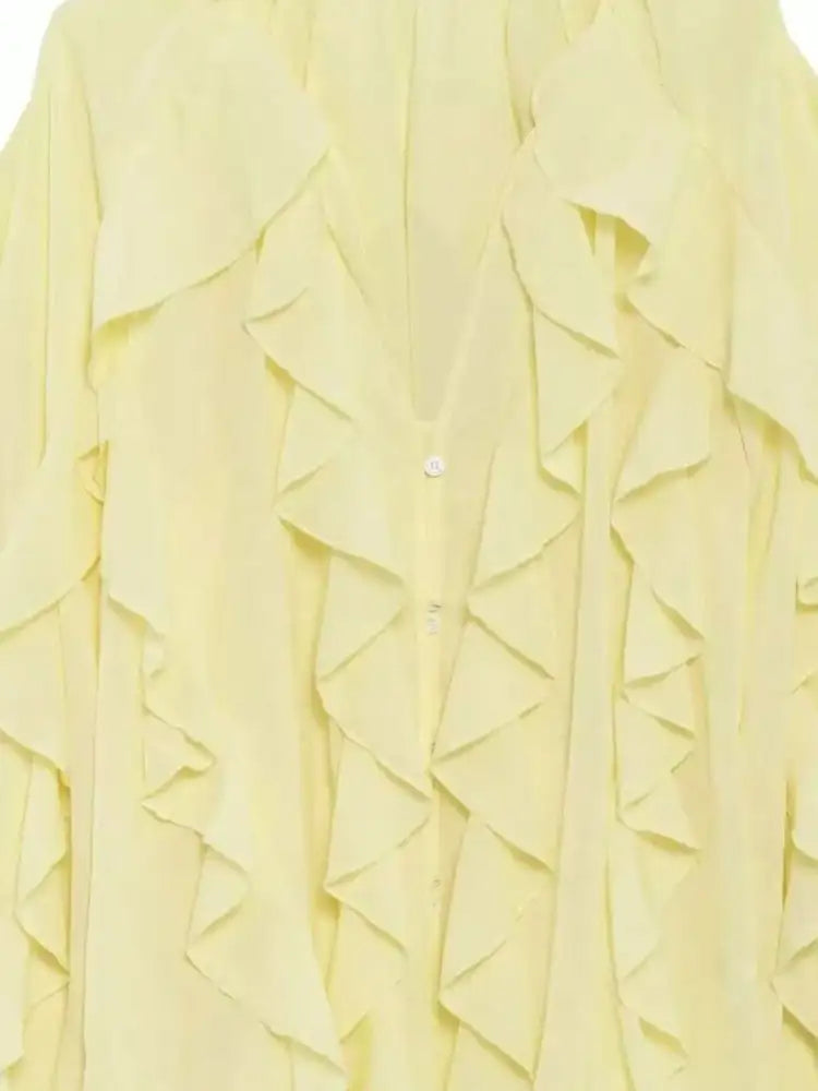 Ruffled Sheer Long Sleeve Blouse