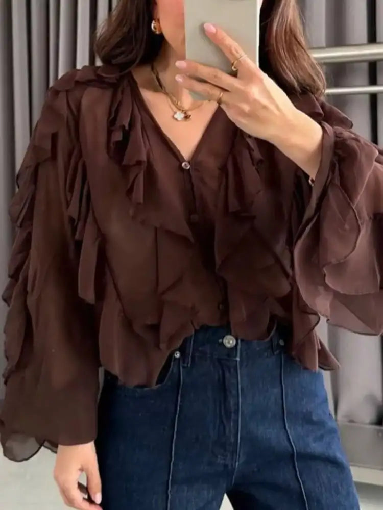Ruffled Sheer Long Sleeve Blouse