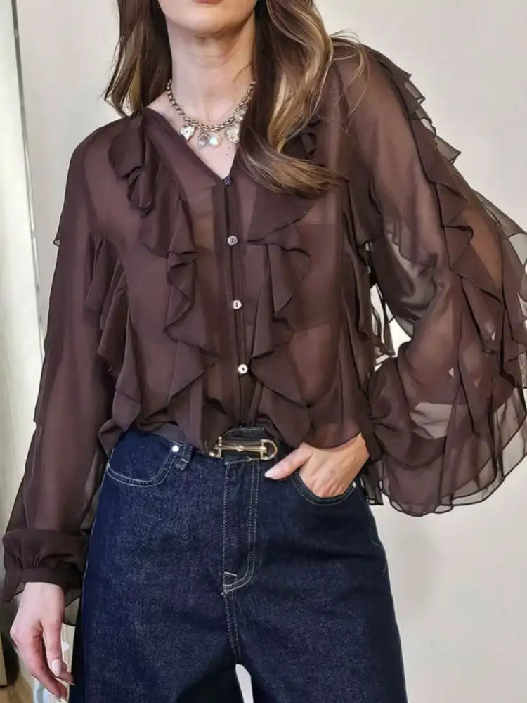 Ruffled Sheer Long Sleeve Blouse